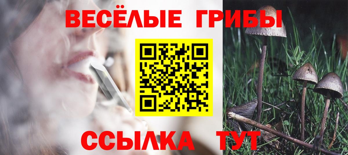 Мирный  Галлюциногенные грибы Magic Shrooms  Псилоцибиновые грибы MAGIC MUSHROOMS  Вход с VPN 