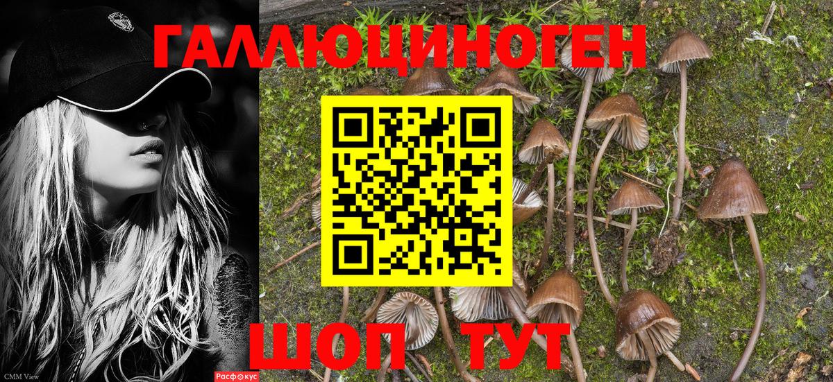 Мирный  Гашиш  МАРИХУАНА  Вход с VPN  Меф МЯУ МЯУ  
