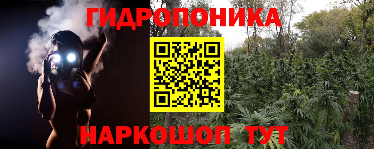 Конопля Amnesia  Каннабис семена  Мирный  Вход с VPN 
